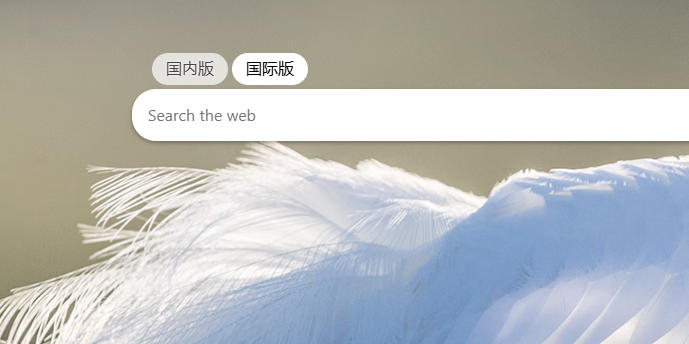 bing国际版app下载-微软bing国际版app下载