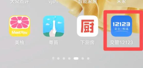 交管12123怎么查看电子驾驶证_交管12123查看电子驾驶证的方法