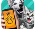 猫狗翻译器免费版下载安装-pet translator猫狗翻译器官网下载入口